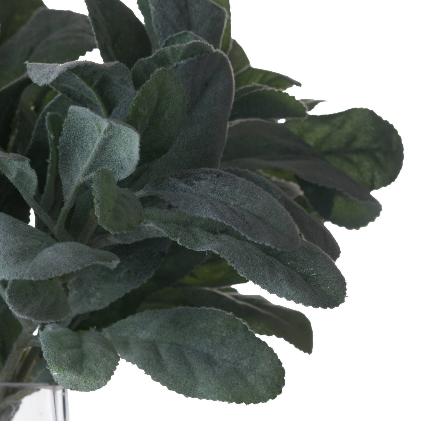Lambs Ear Spray Faux Plant | The Velvet Stem