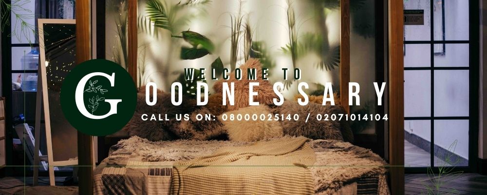 Green Up Your Home this Season - Indoor Plants for Health and Happiness