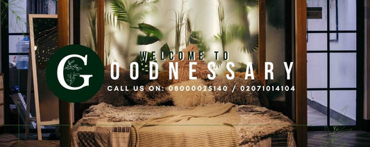 Green Up Your Home this Season - Indoor Plants for Health and Happiness
