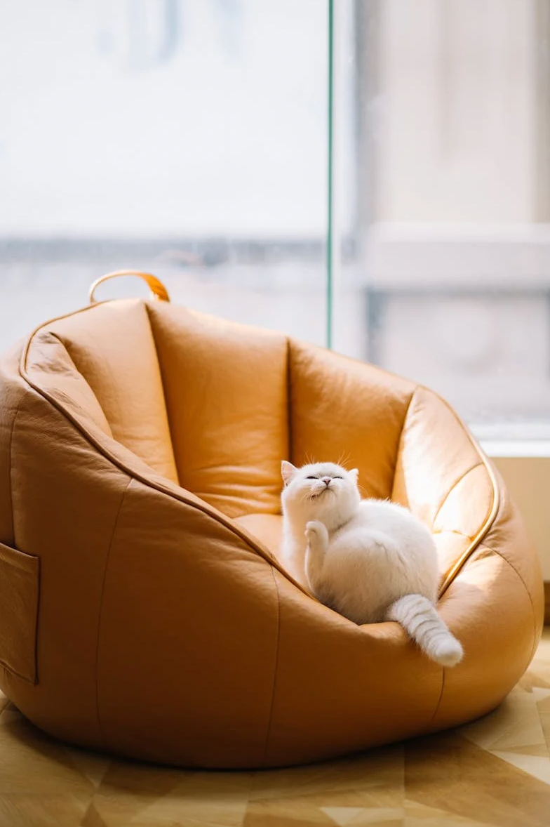 How to Create Calm and Balance at Home in a Fast-Paced World
