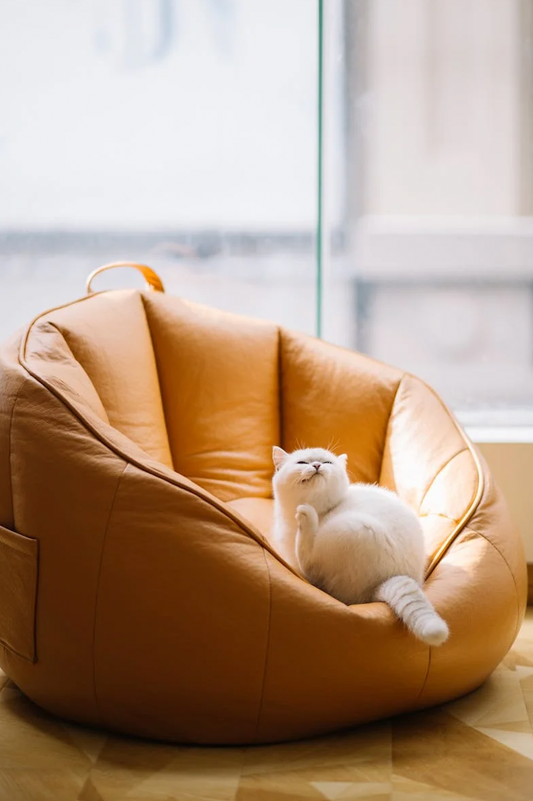 How to Create Calm and Balance at Home in a Fast-Paced World