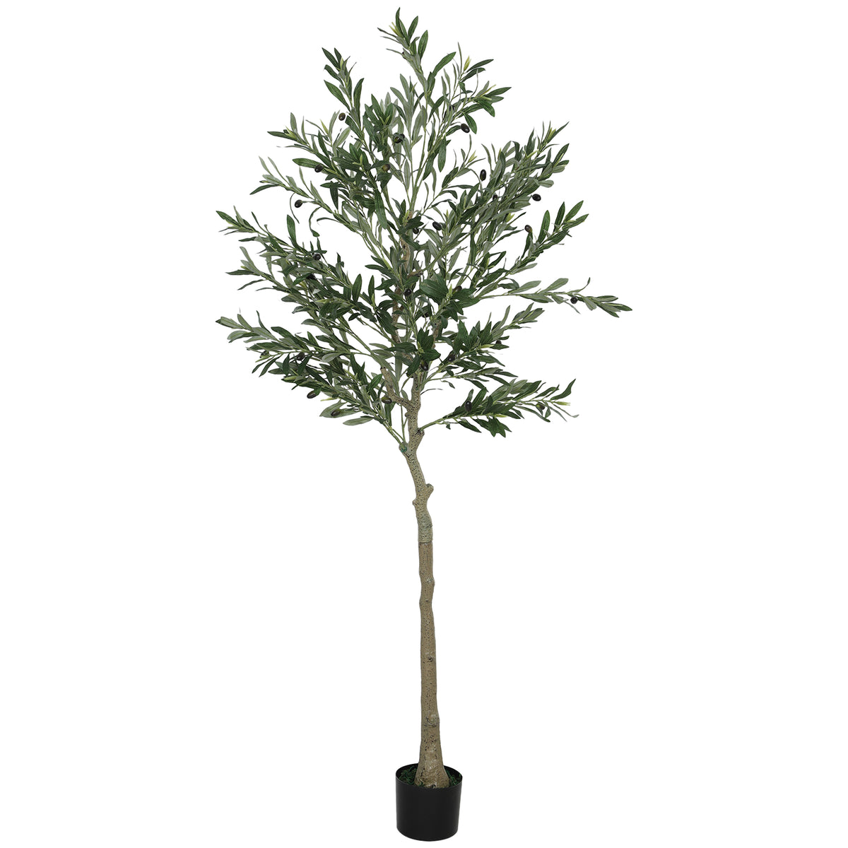 Decorative Silk Olive Tree 180cm Artificial Plant | The Veranda Tall