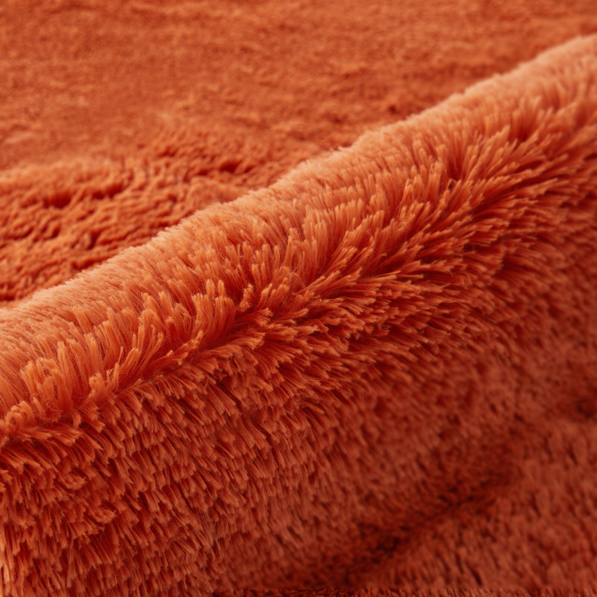 Plush Shaggy Anti-Slip Area Rug | The Grounding Cloud