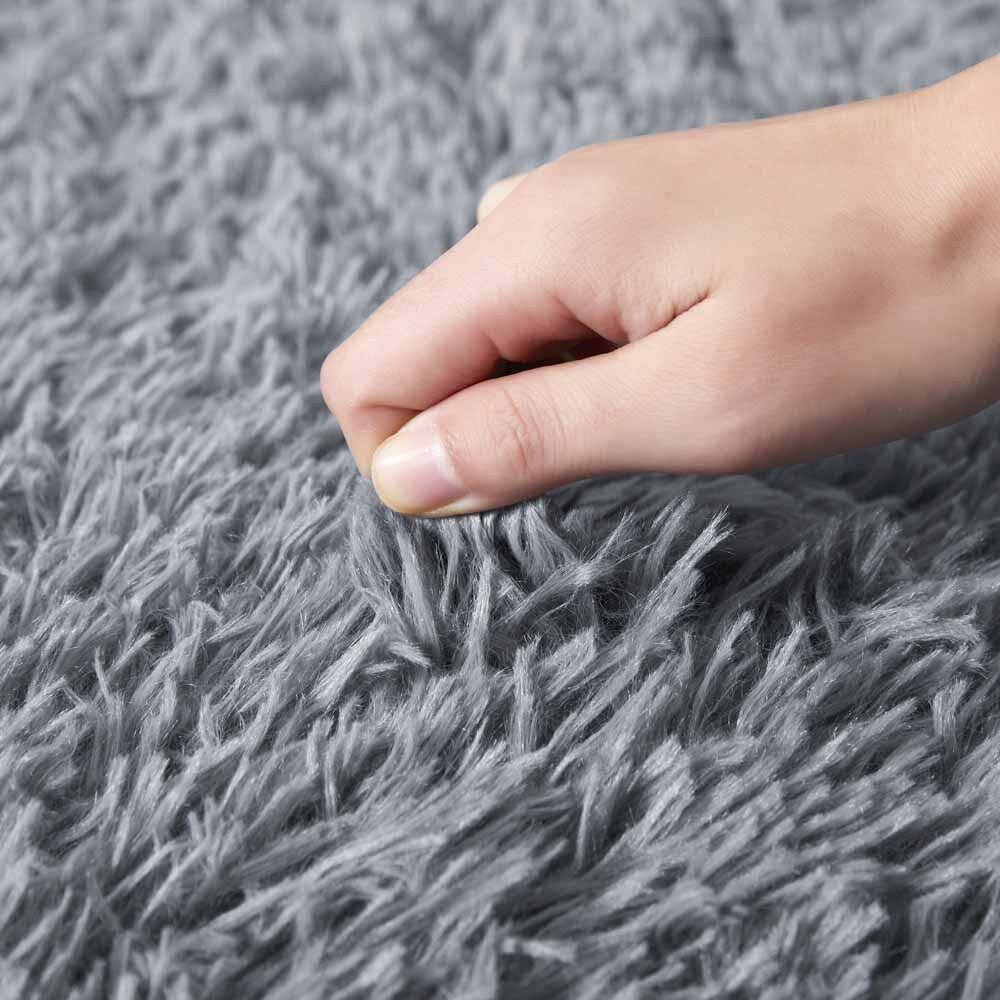 Plush Shaggy Anti-Slip Area Rug | The Grounding Cloud